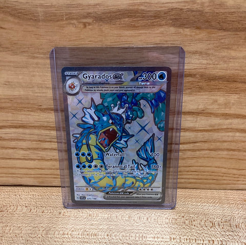Gyarados ex(Full Art)
