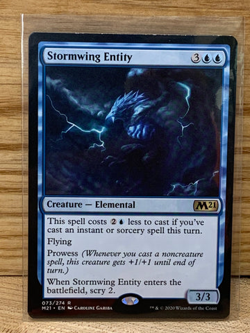 Stormwing Entity