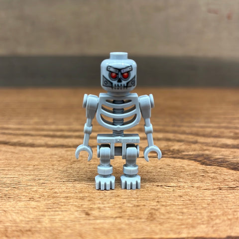 Robo Skeleton