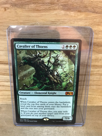 Cavalier of Thorns
