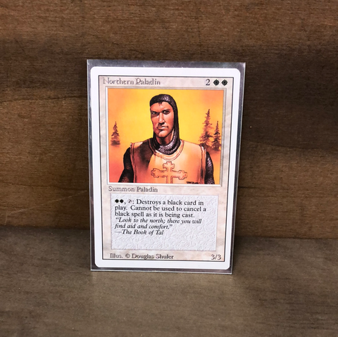 Northern Paladin