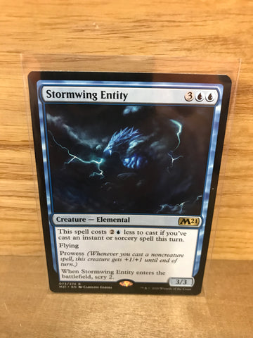Stormwing Entity