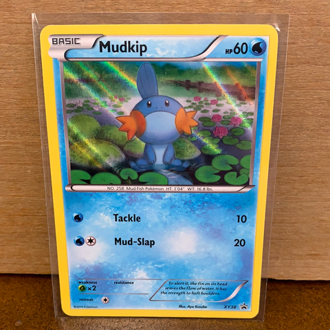 Mudkip(Holo Promo)