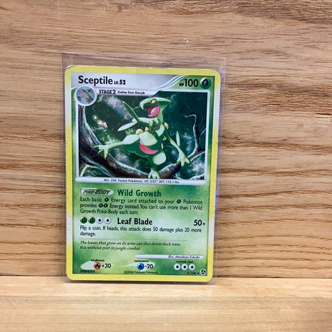 Sceptile(Holo)