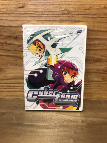 Cyber Team in Akihabara Vol 5: Cyber Friends