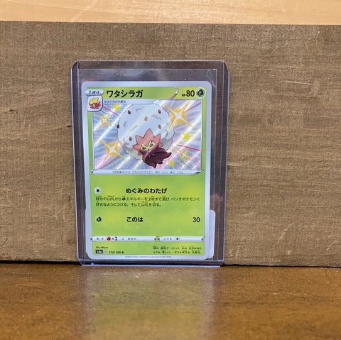 Eldegoss(Shiny)(Japanese)