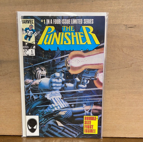 Punisher #1(Return of Punisher)