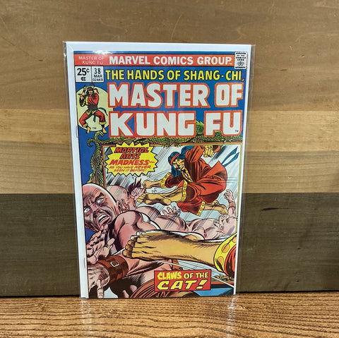 Master of Kung Fu #38