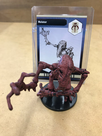 Molator 34/40