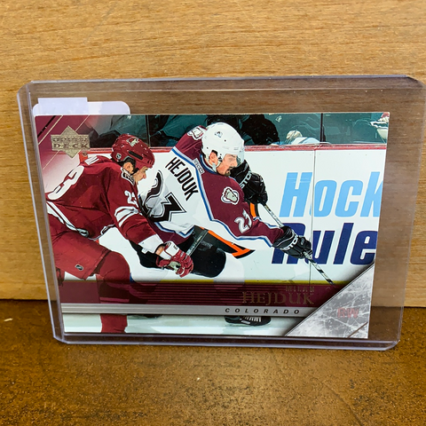Milan Hejduk: Colorado Avalanche(2005/06)