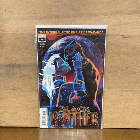 Black Panther #14