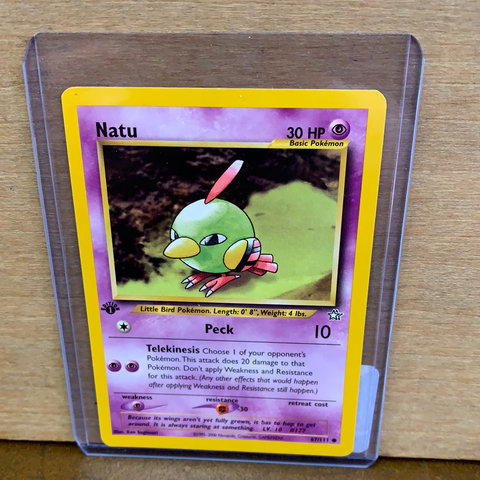 Natu(1st Edition)