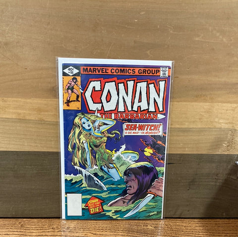 Conan the Barbarian #98(Variant)