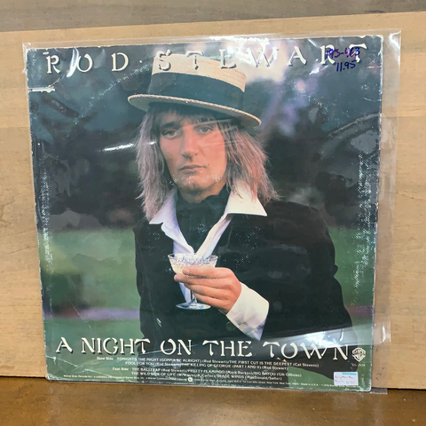 A Night on the Town: Rod Stewart
