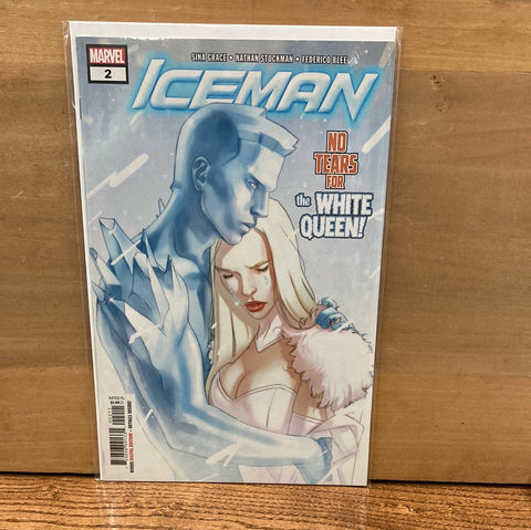 Iceman #2