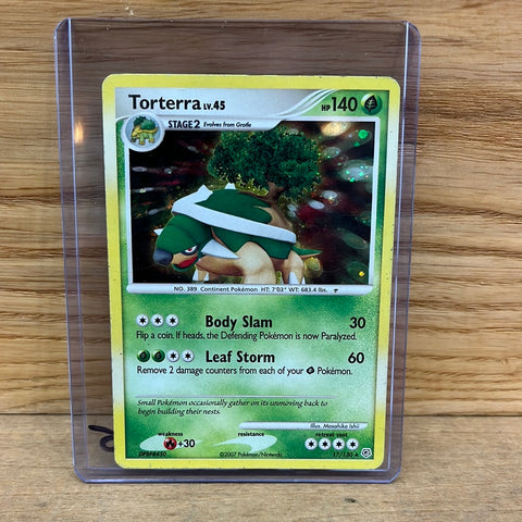 Torterra(Holo)