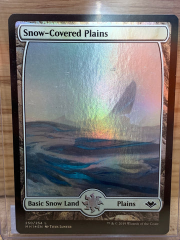 Snow Covered Plains(Foil)