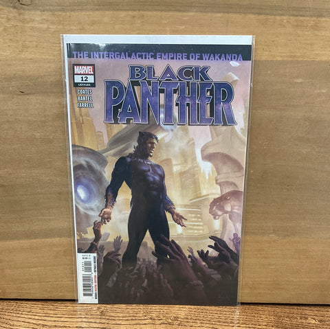 Black Panther #12