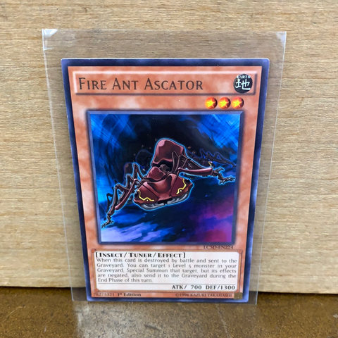 Fire Ant Ascator