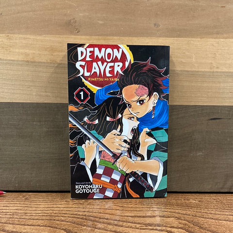 Demon Slayer Vol 1