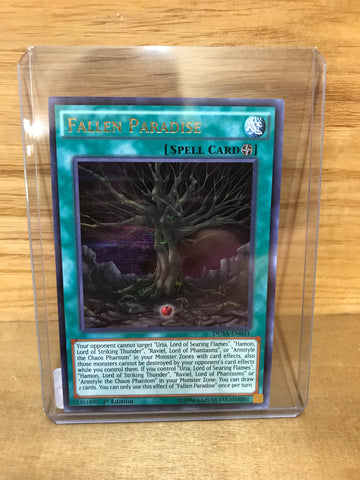 Fallen Paradise(DUSA-EN031)