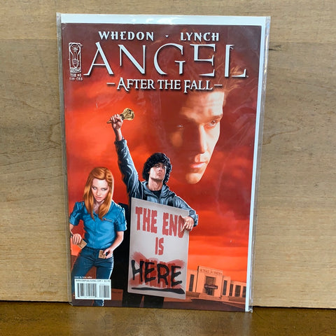 Angel: After the Fall #8
