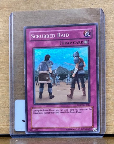 Scrubbed Raid