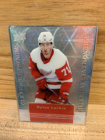 CCP: Dylan Larkin