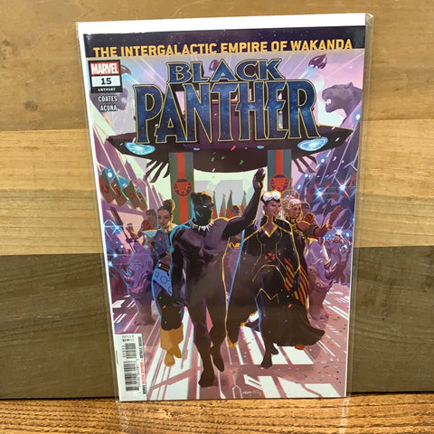 Black Panther #15