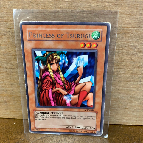 Princess of Tsurugi