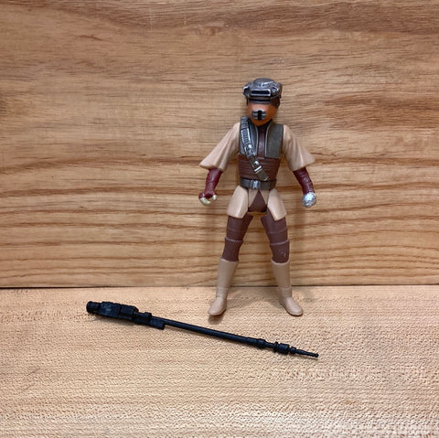 Princess Leia - The Frugal Dutchman