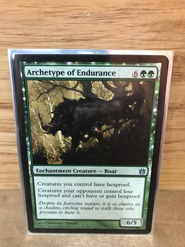 Archetype of Endurance