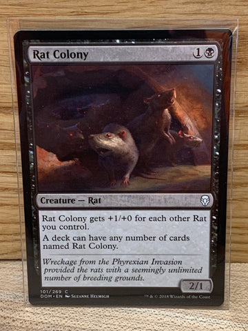 Rat Colony