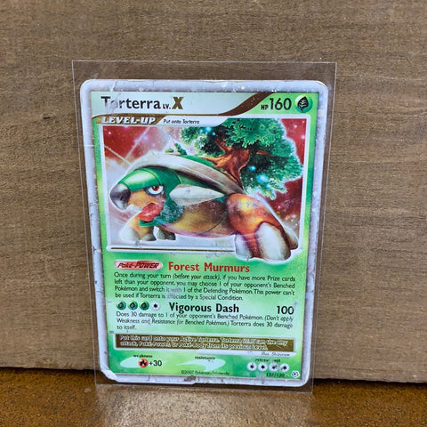 Torterra Lv.X