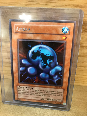 Ameba(MRL-010)