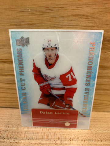 CCP: Dylan Larkin