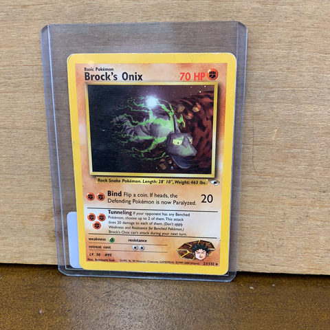 Brock's Onix