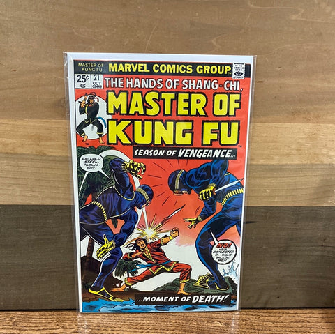 Master of Kung Fu #21