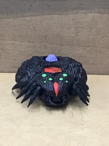 Arachnoid