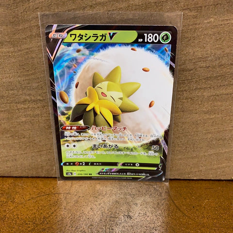Eldegoss V(Japanese)