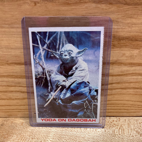 "Yoda On Dagobah"(1980)