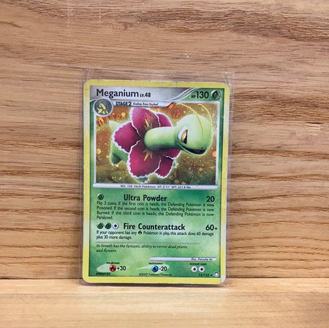 Meganium(Holo)