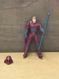 Luke Skywalker: Imperial Guard