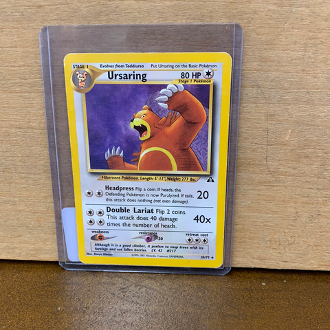 Ursaring