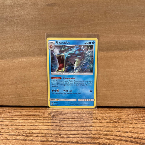 Gyarados(Holo)