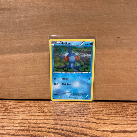 Mudkip(Holo)