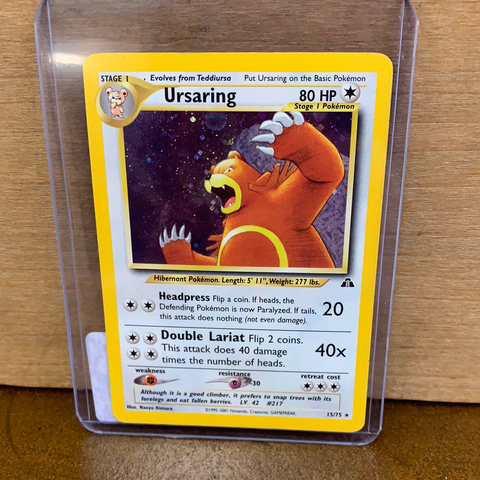Ursaring(Holo)