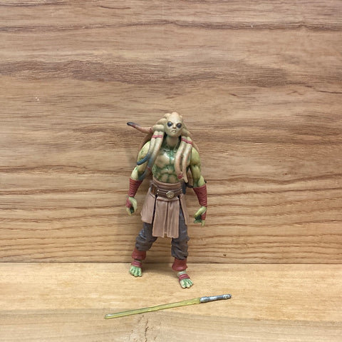 Kit Fisto