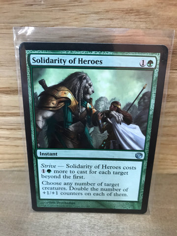 Solidarity of Heroes