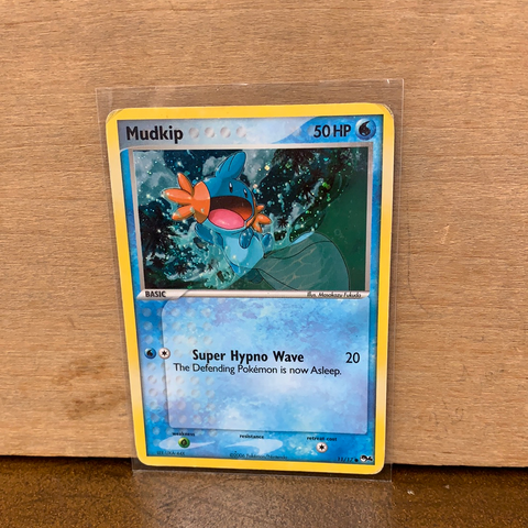 Mudkip (Holo)